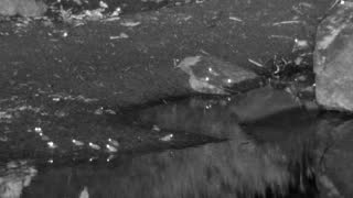 Still 3 from this detection