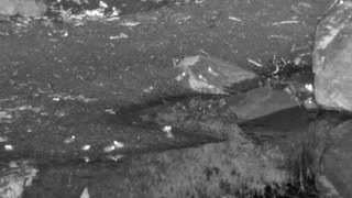 Still 2 from this detection