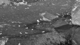 Still 2 from this detection