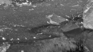 Still 3 from this detection
