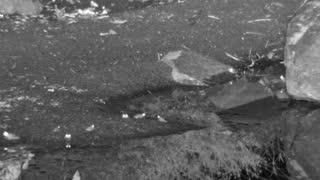 Still 2 from this detection