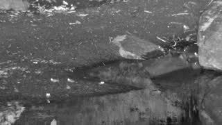 Still 2 from this detection
