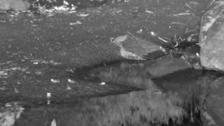Still 1 from this detection
