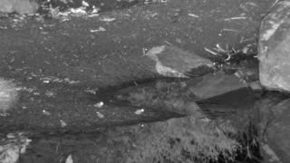 Still 3 from this detection
