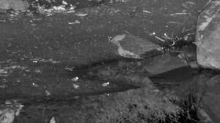 Still 1 from this detection