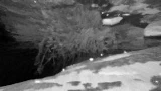 Still 1 from this detection