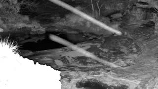 Still 2 from this detection