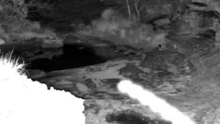 Still 1 from this detection