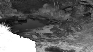 Still 1 from this detection