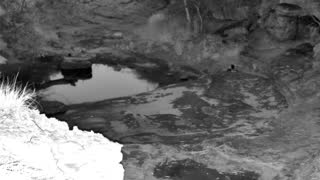 Still 1 from this detection