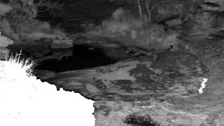 Still 1 from this detection