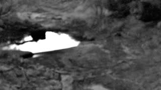 Still 1 from this detection