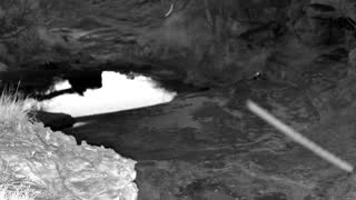 Still 1 from this detection