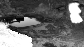Still 2 from this detection