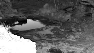 Still 1 from this detection