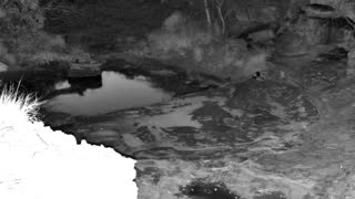 Still 3 from this detection