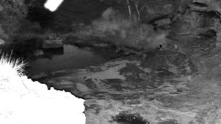 Still 2 from this detection