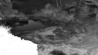 Still 3 from this detection