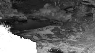 Still 2 from this detection
