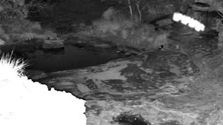 Still 1 from this detection