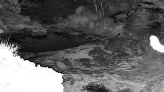 Still 3 from this detection