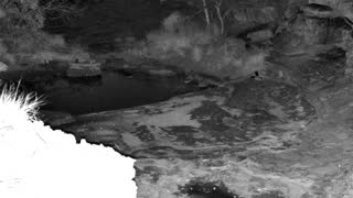 Still 1 from this detection