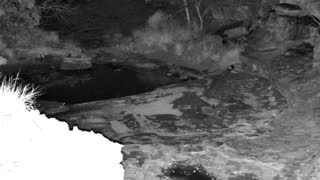 Still 1 from this detection