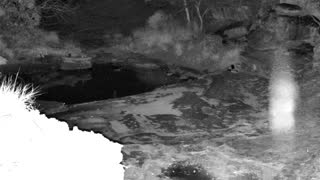 Still 1 from this detection