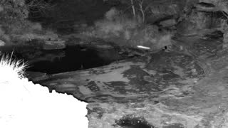 Still 2 from this detection