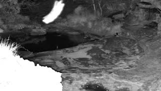 Still 1 from this detection