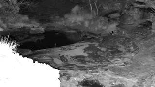 Still 2 from this detection