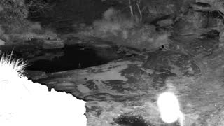 Still 3 from this detection