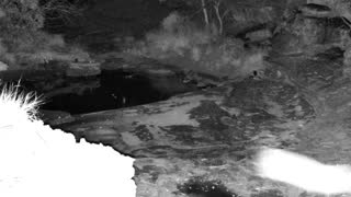 Still 1 from this detection