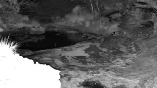 Still 3 from this detection