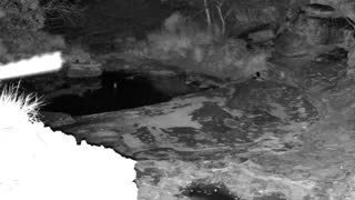 Still 1 from this detection