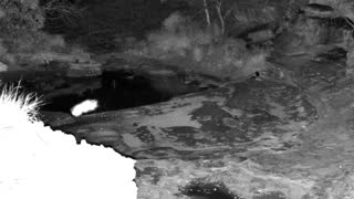 Still 2 from this detection