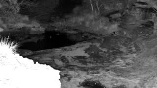 Still 3 from this detection