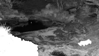 Still 2 from this detection
