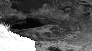 Still 3 from this detection