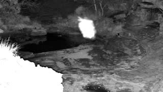 Still 1 from this detection