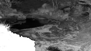 Still 2 from this detection