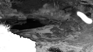 Still 2 from this detection