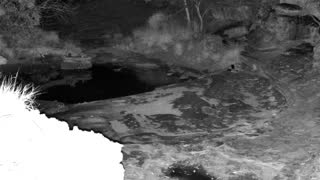 Still 1 from this detection