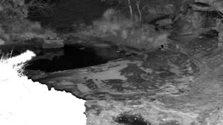 Still 2 from this detection