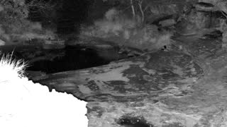 Still 1 from this detection