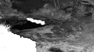 Still 2 from this detection
