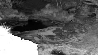 Still 3 from this detection