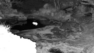 Still 2 from this detection