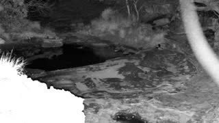 Still 2 from this detection