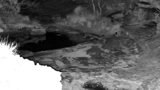 Still 2 from this detection